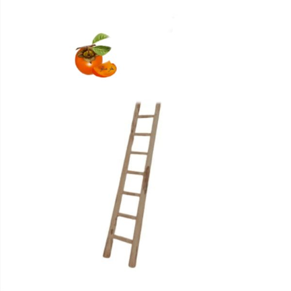 نردبان چوبی 2 متری کد 167