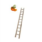 نردبان چوبی 3 متری کد 168