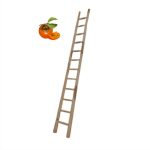 نردبان چوبی 5 متری کد 169